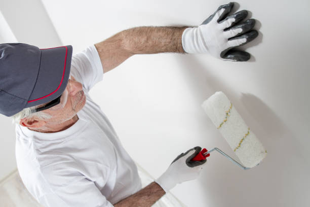 Best Mold Documentation for Insurance Claims  in Greenfield, IN