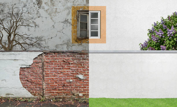 Best Environmental Consulting for Mold Prevention  in Greenfield, IN