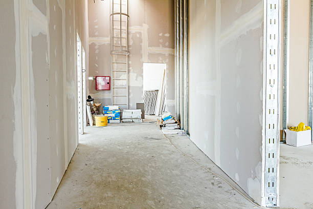 Best Dehumidification Services  in Greenfield, IN